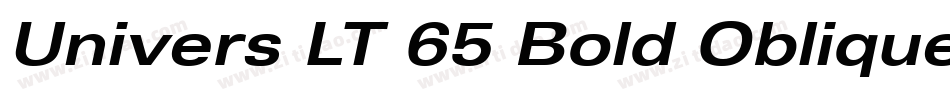 Univers LT 65 Bold Oblique字体转换